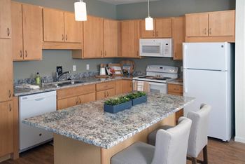Gourmet kitchen